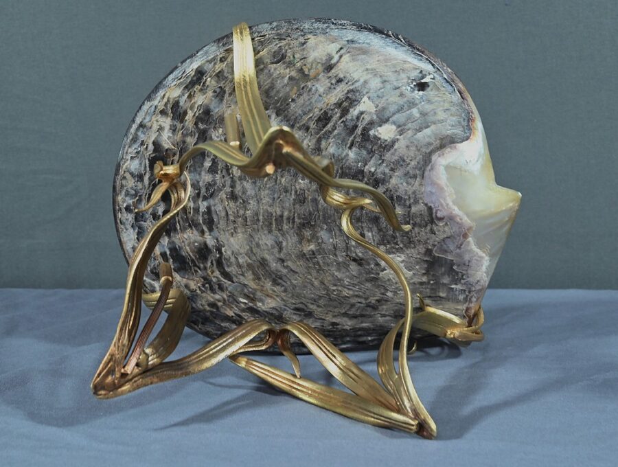 Rare Vide Poche Coquillage Nacré et Bronze doré, Art Nouveau - Fin XIXe – Image 9